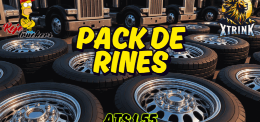 PACK DE RINES S184X.png